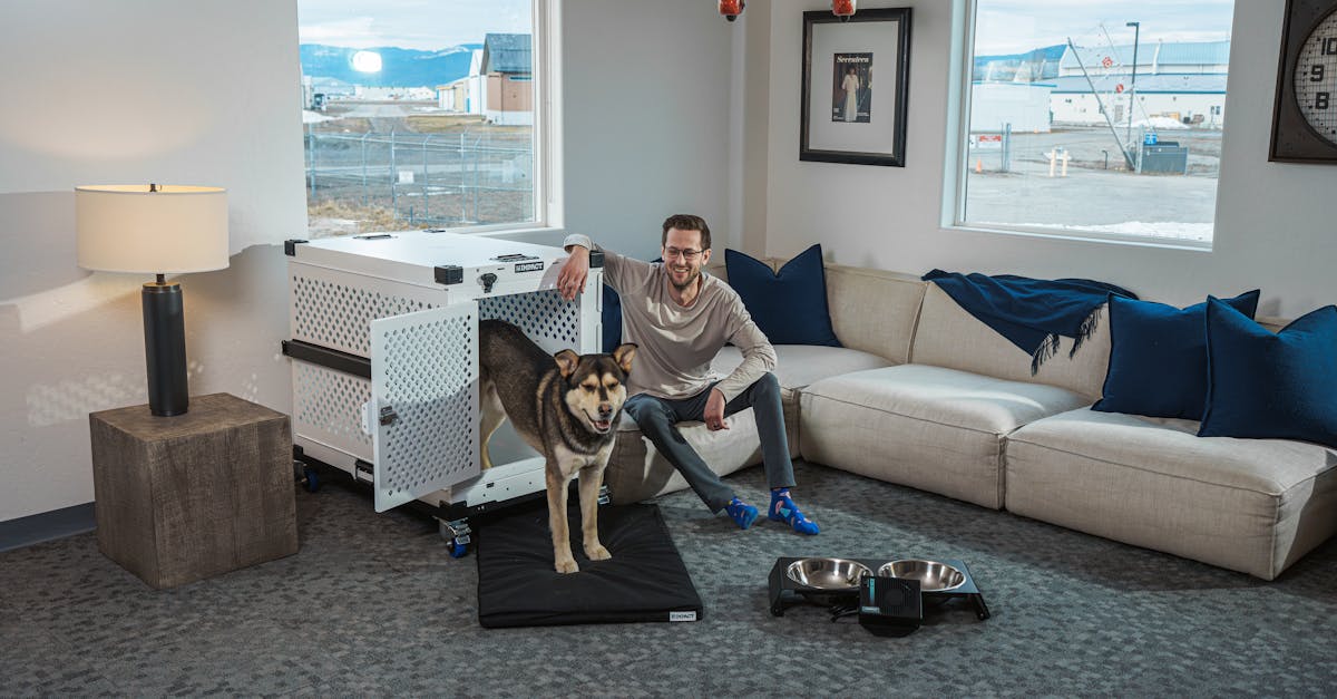 découvrez les avantages de l'éducation par la caisse pour votre chien. apprenez les meilleures techniques et conseils pour rendre cette méthode d'apprentissage positive et efficace, tout en assurant le bien-être et la sécurité de votre animal.