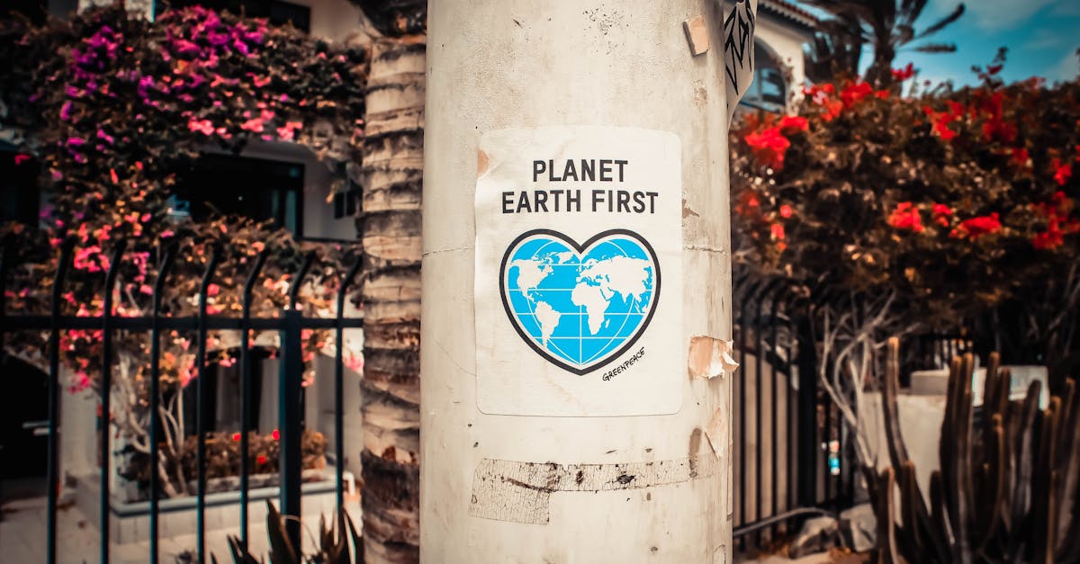 découvrez l'importance de la sensibilisation dans divers domaines, de la santé à l'environnement. apprenez comment accroître votre conscience et celle des autres pour un impact positif sur la société.