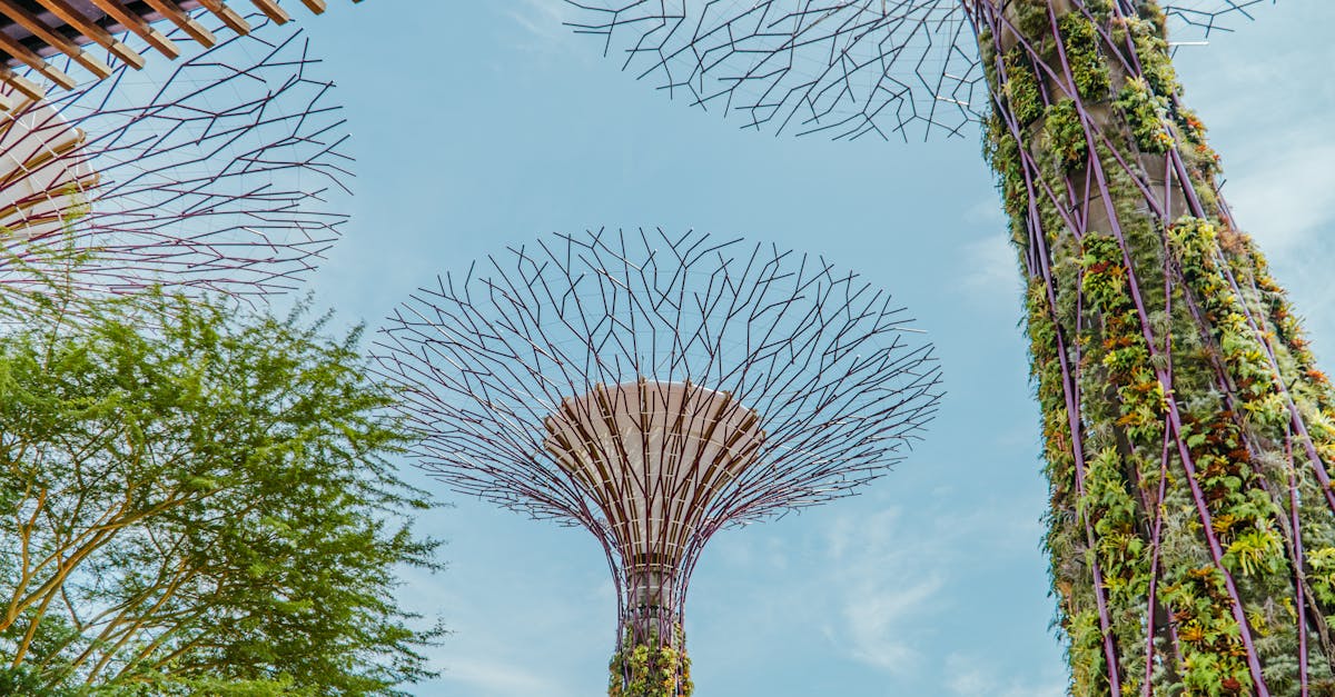 découvrez l'importance de la biodiversité pour notre planète. apprenez comment la diversité des espèces et des écosystèmes contribue à l'équilibre écologique et au bien-être humain. explorez les menaces qui pèsent sur la biodiversité et les actions nécessaires pour la préserver.