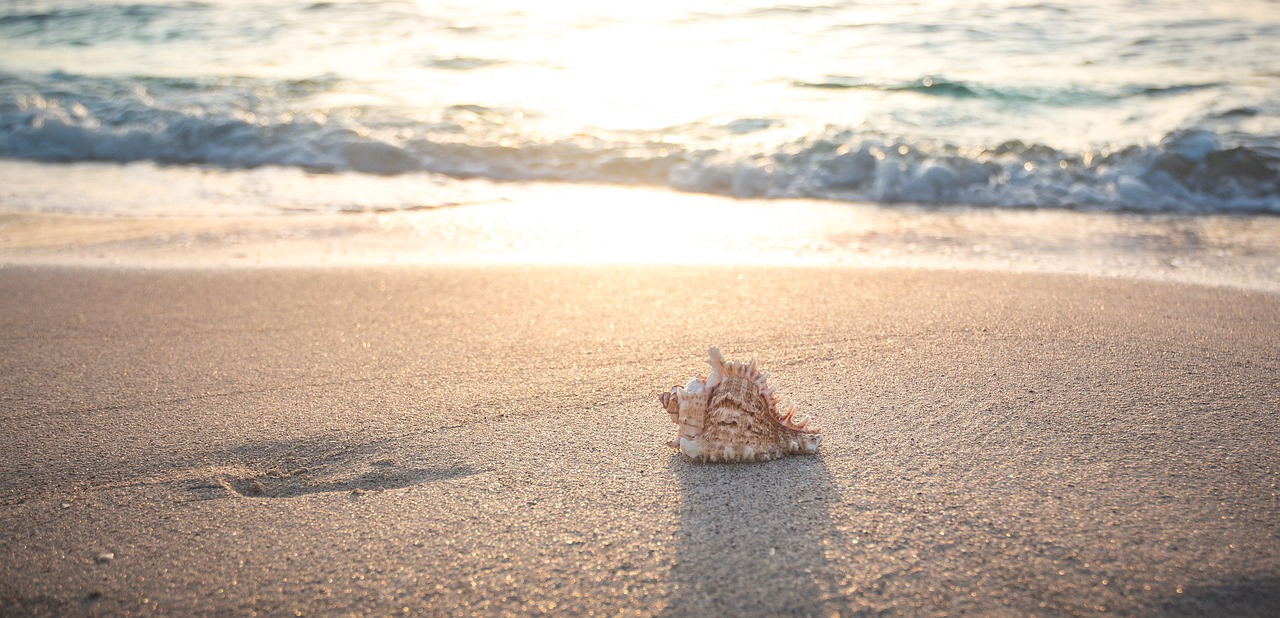 Vacances 2025 : comment profiter des meilleurs bons plans du comité d’entreprise Randstad ?