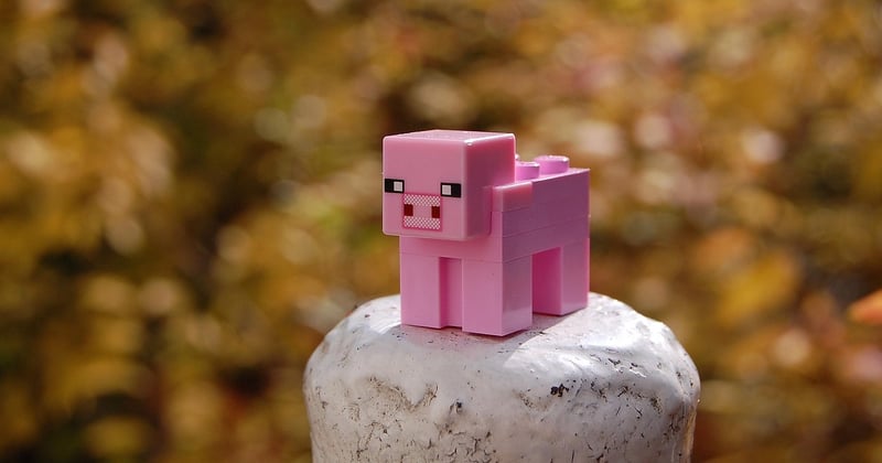 Enchantement densité Minecraft : le guide ultime pour optimiser vos builds