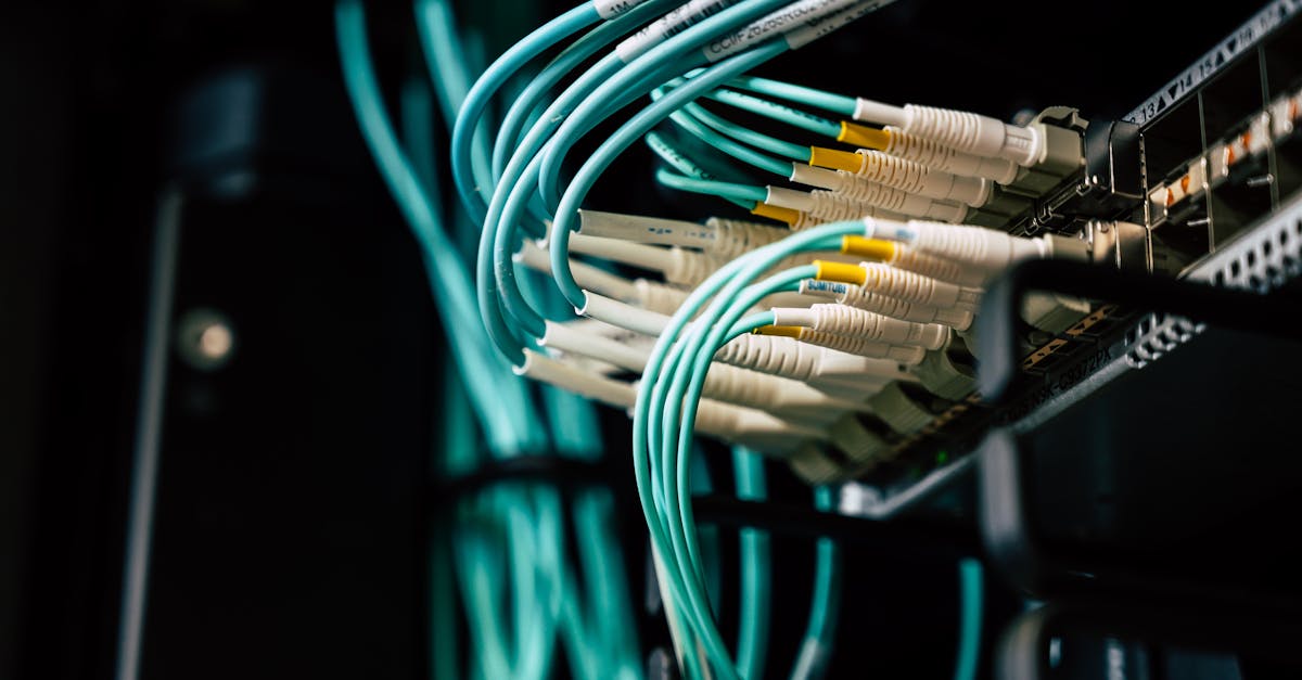 Travailler en réseau : l’importance des connexions professionnelles