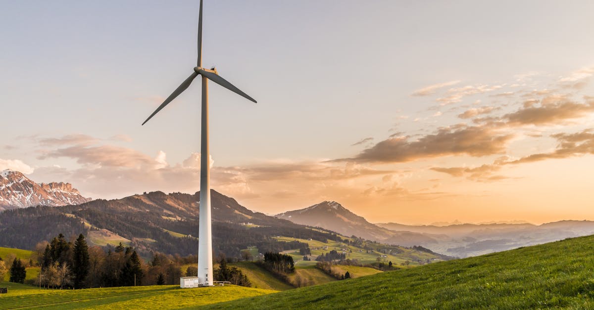 découvrez l'importance de la durabilité et comment elle façonne notre avenir. explorez des solutions écologiques, des pratiques responsables et des initiatives vertes pour préserver notre planète pour les générations futures.