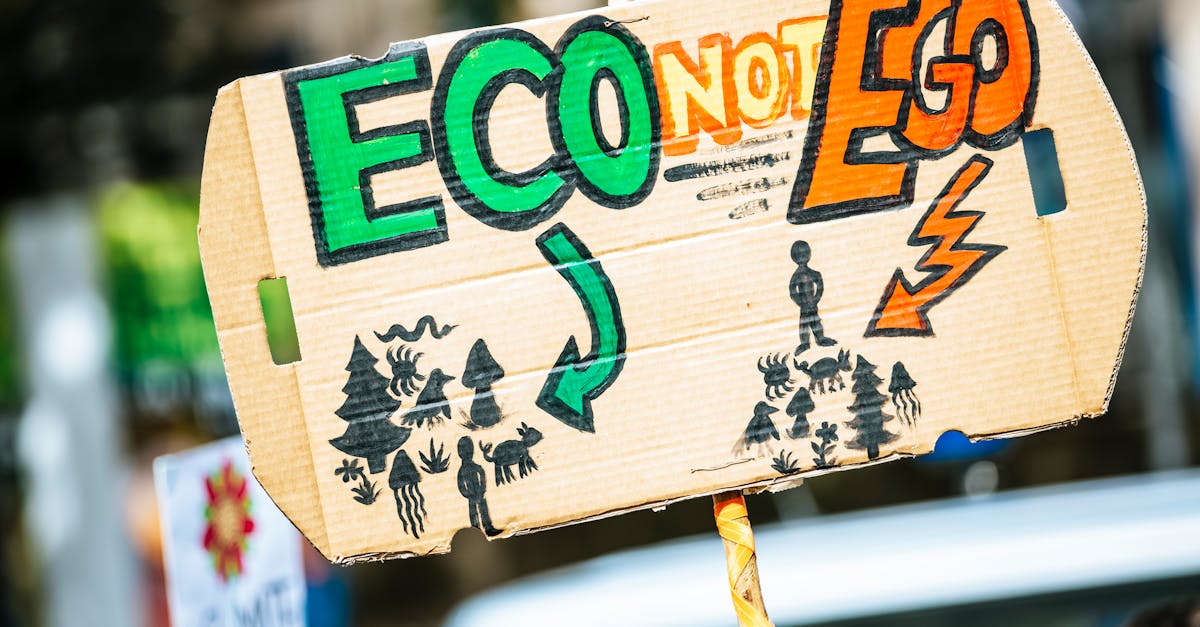 découvrez comment le changement social façonne notre société, en explorant les mouvements, les idées et les actions qui transcendent les frontières pour promouvoir l'égalité, la justice et l'engagement communautaire.