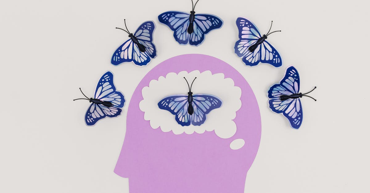 découvrez le processus fascinant de transformation, que ce soit dans le développement personnel, les affaires ou l'environnement. explorez comment des changements significatifs peuvent mener à de nouvelles opportunités et à une croissance durable.