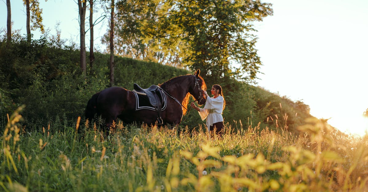 d&eacute;couvrez le lead scoring, une m&eacute;thode efficace pour &eacute;valuer et prioriser vos prospects. optimisez votre strat&eacute;gie marketing et augmentez vos taux de conversion gr&acirc;ce &agrave; une analyse approfondie du comportement de vos leads.