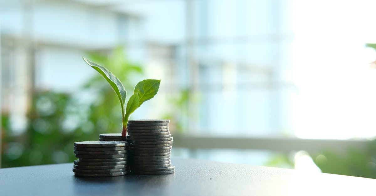 découvrez des stratégies efficaces pour améliorer la rentabilité de votre entreprise. cet article explore des méthodes éprouvées pour optimiser les coûts, augmenter les revenus et assurer une croissance durable.