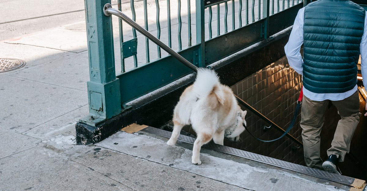 d&eacute;couvrez les meilleures pratiques de qualification des leads pour optimiser votre processus de vente. apprenez &agrave; identifier et &agrave; &eacute;valuer les prospects afin de maximiser votre taux de conversion.