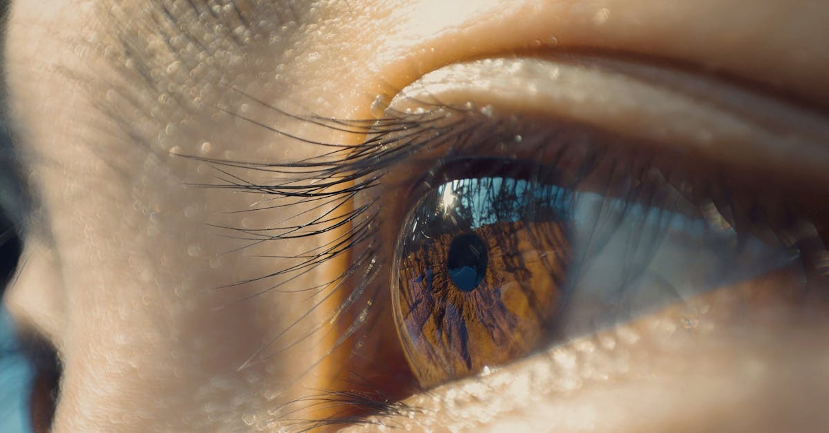 découvrez comment la perception de la qualité impacte les choix des consommateurs et les stratégies des marques. apprenez à évaluer et à améliorer la perception de la qualité de vos produits pour renforcer la satisfaction et fidéliser votre clientèle.