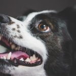 découvrez l'importance du bouche-à-oreille dans le marketing moderne. apprenez comment les recommandations personnelles influencent les décisions d'achat et comment utiliser cette technique pour promouvoir votre entreprise efficacement.