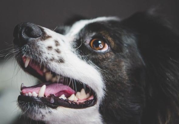 découvrez l'importance du bouche-à-oreille dans le marketing moderne. apprenez comment les recommandations personnelles influencent les décisions d'achat et comment utiliser cette technique pour promouvoir votre entreprise efficacement.