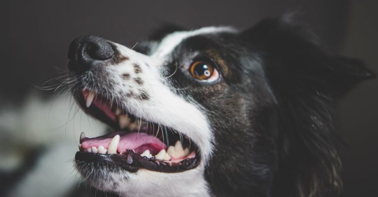 découvrez l'importance du bouche-à-oreille dans le marketing moderne. apprenez comment les recommandations personnelles influencent les décisions d'achat et comment utiliser cette technique pour promouvoir votre entreprise efficacement.