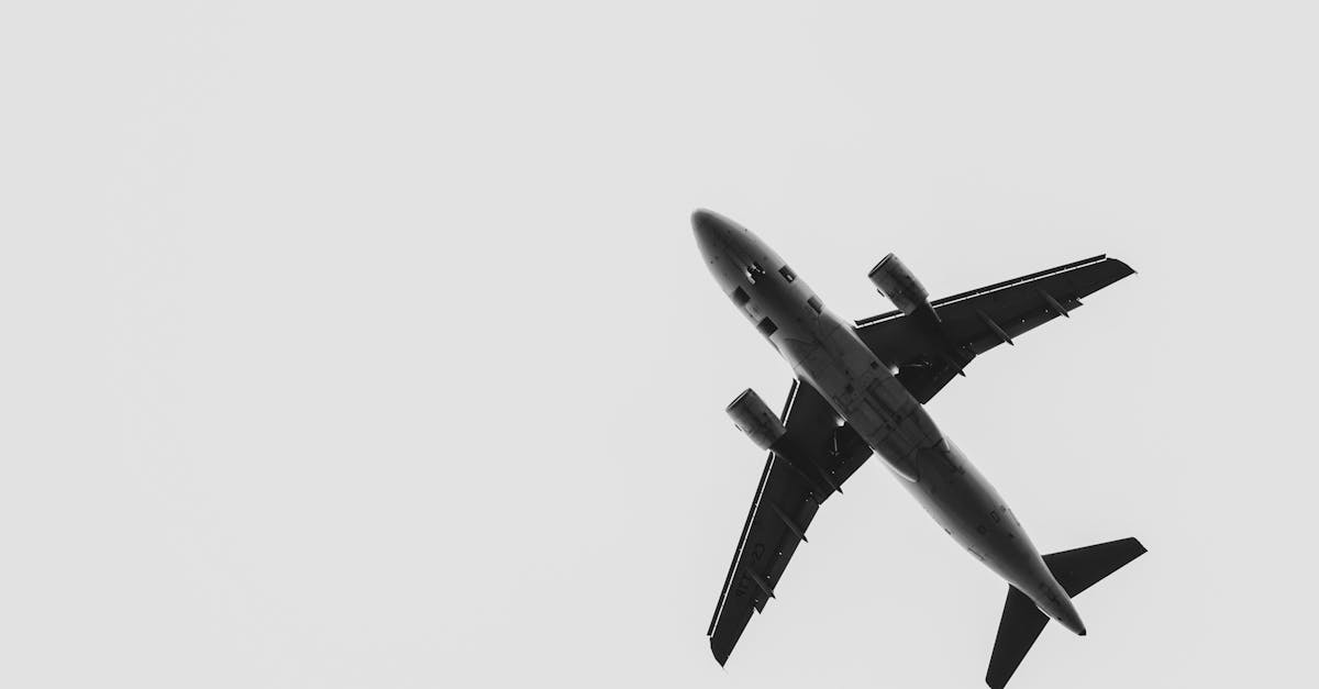 d&eacute;couvrez l'univers fascinant des rois, des souverains et des dynasties &agrave; travers l'histoire. plongez dans les r&eacute;cits &eacute;piques de pouvoir, de leadership et de l&eacute;gendes royales qui ont fa&ccedil;onn&eacute; notre pass&eacute;.