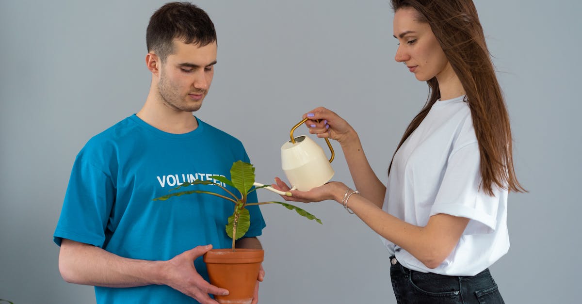 découvrez nos initiatives de croissance, conçues pour propulser votre entreprise vers de nouveaux sommets. explorez des stratégies innovantes et des solutions adaptées pour maximiser votre potentiel de développement.