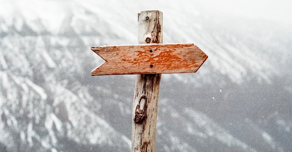 découvrez comment optimiser votre processus de sélection de leads pour maximiser vos conversions et améliorer l'efficacité de votre équipe de vente. apprenez des stratégies clés pour identifier et qualifier les meilleurs prospects.