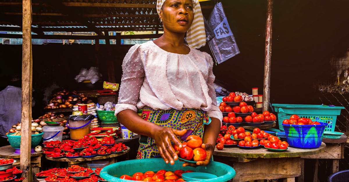 découvrez les enjeux et opportunités liés à l'ouverture des marchés. cette page vous guide à travers les tendances actuelles, les impacts économiques et les stratégies pour tirer parti de cette dynamique en constante évolution.