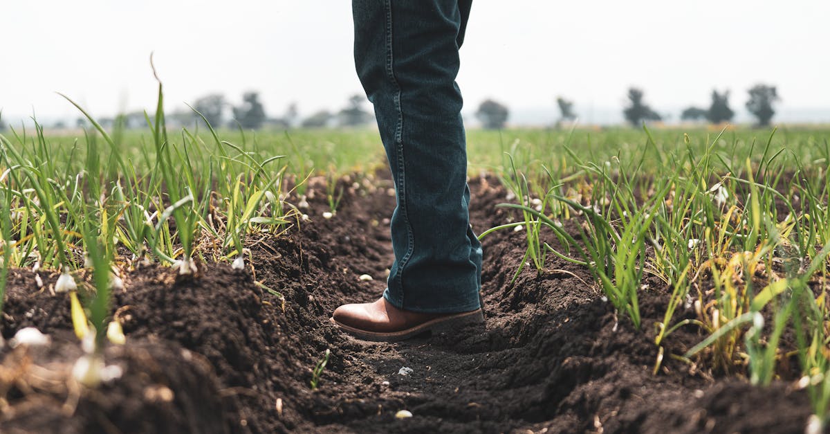 découvrez comment atteindre une croissance durable grâce à des pratiques innovantes et respectueuses de l'environnement. explorez des stratégies qui favorisent le développement économique tout en préservant les ressources naturelles.