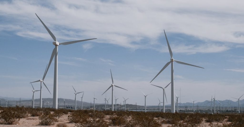 découvrez le développement durable : ses principes, ses enjeux et des solutions concrètes pour préserver l’environnement tout en favorisant le progrès économique et social.