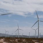 découvrez le développement durable : ses principes, ses enjeux et des solutions concrètes pour préserver l’environnement tout en favorisant le progrès économique et social.