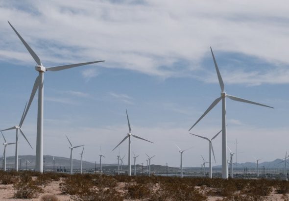 découvrez le développement durable : ses principes, ses enjeux et des solutions concrètes pour préserver l’environnement tout en favorisant le progrès économique et social.
