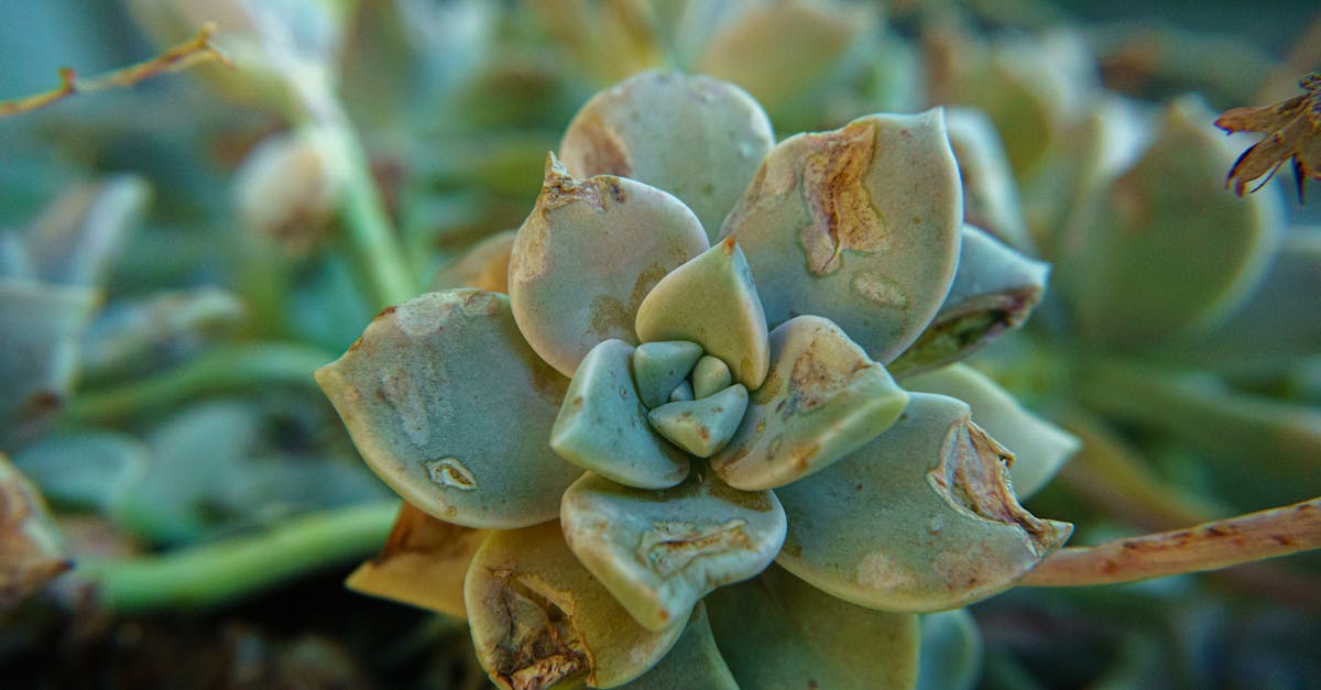 d&eacute;couvrez les meilleures strat&eacute;gies, outils et conseils pour am&eacute;liorer la r&eacute;tention de vos clients, optimiser l&rsquo;engagement et favoriser la croissance durable de votre entreprise.