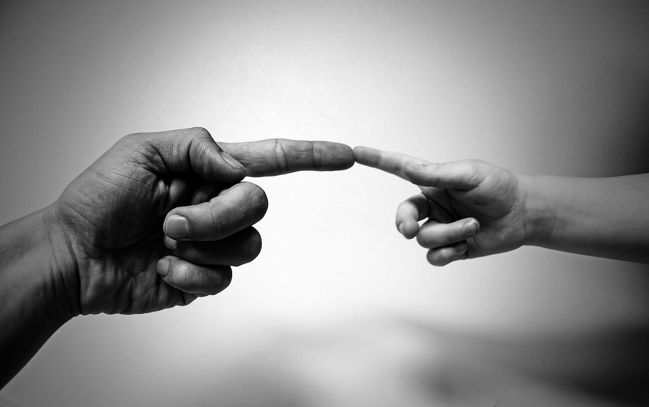 prenez contact avec notre équipe pour toute demande d'information, de support ou de collaboration. nous sommes à votre écoute et répondrons rapidement à vos besoins.