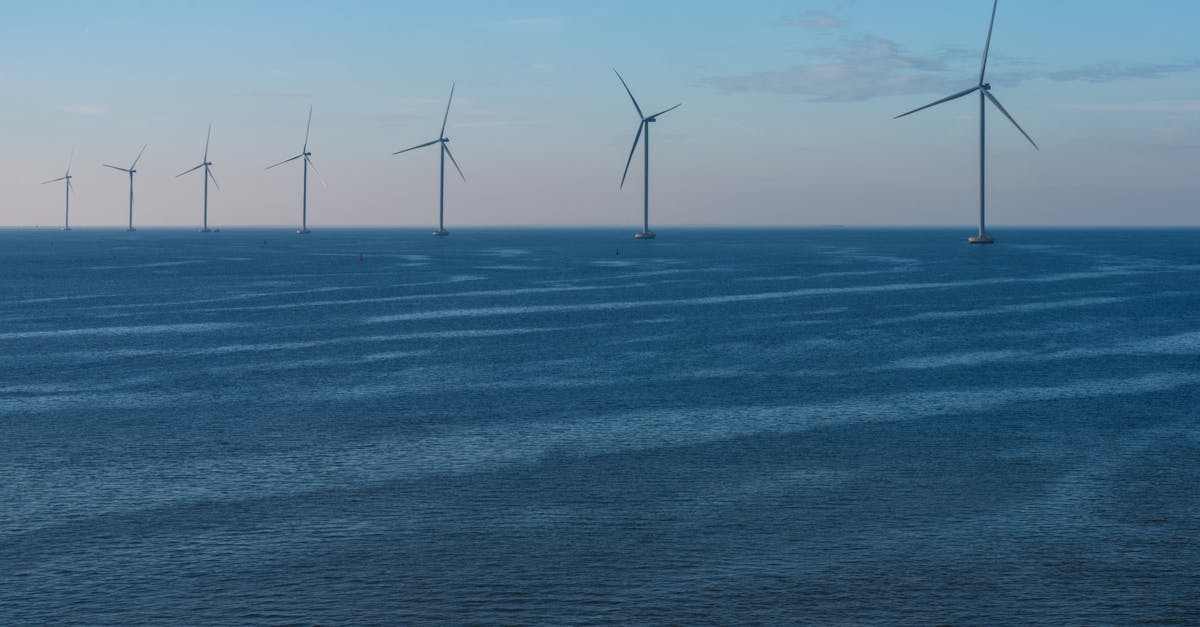 découvrez le développement durable : un modèle qui concilie croissance économique, respect de l’environnement et justice sociale pour assurer un avenir meilleur aux générations futures.