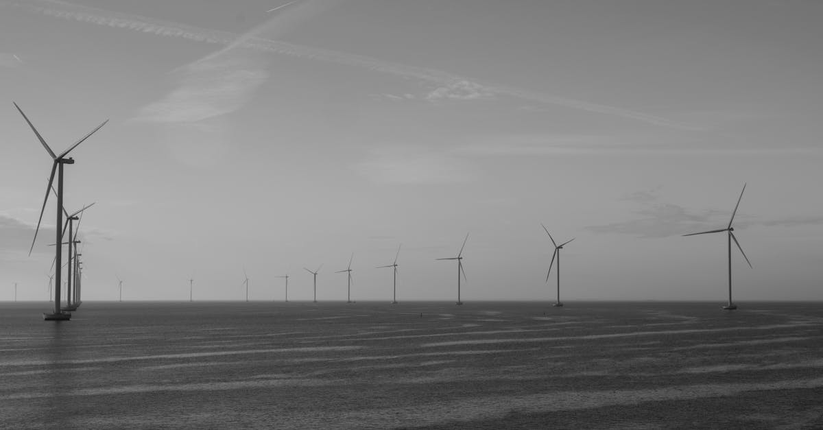 découvrez le développement durable : ses principes, ses enjeux, et les actions à adopter pour préserver l’environnement tout en favorisant le progrès économique et social.