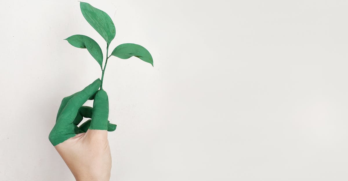 découvrez le développement durable : un modèle qui vise à répondre aux besoins actuels tout en préservant l’environnement et les ressources pour les générations futures. approfondissez vos connaissances sur ses enjeux, principes et solutions.