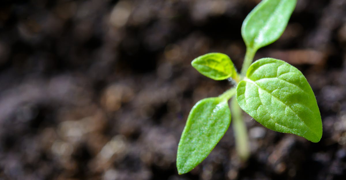 découvrez des stratégies de croissance durable pour assurer le développement à long terme de votre entreprise tout en respectant l'environnement et la société.