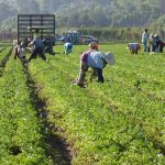découvrez des stratégies de croissance durable pour développer votre entreprise tout en respectant l’environnement et en assurant un avenir responsable.