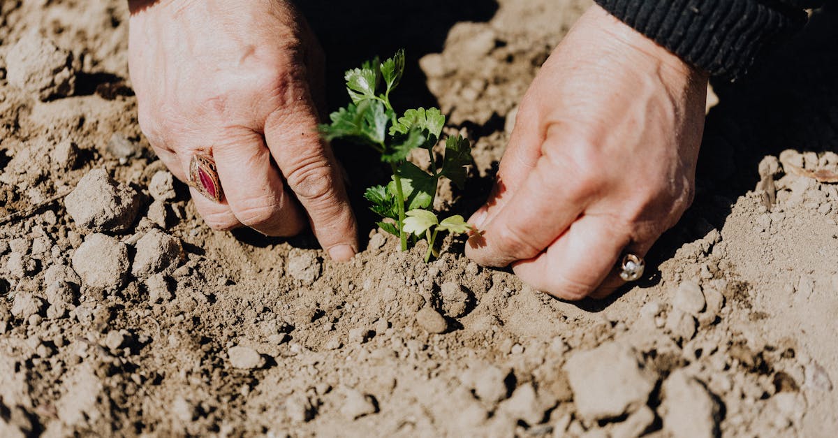 découvrez des stratégies de croissance durable pour aider votre entreprise à prospérer tout en respectant l’environnement et en assurant une performance à long terme.