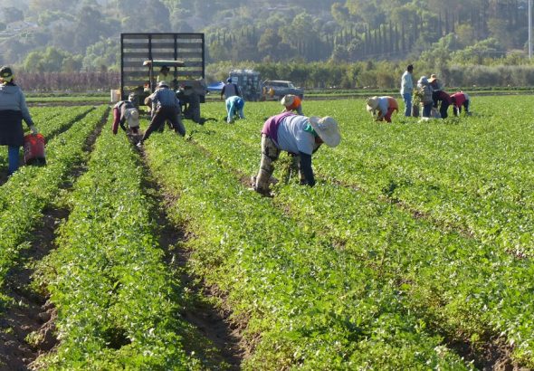 découvrez des stratégies de croissance durable pour développer votre entreprise tout en respectant l’environnement et en assurant un avenir responsable.