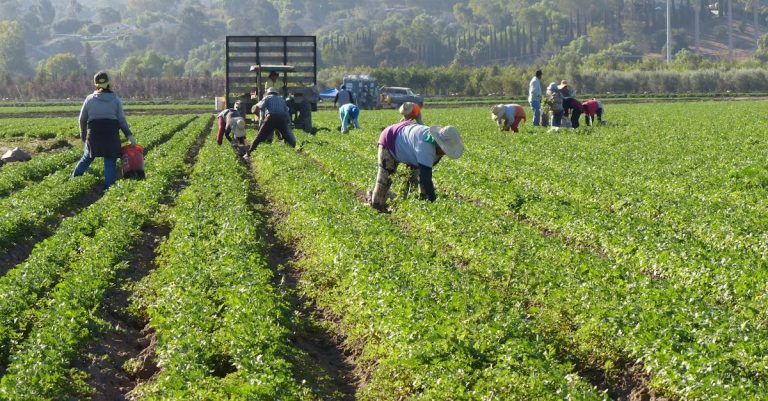 découvrez des stratégies de croissance durable pour développer votre entreprise tout en respectant l’environnement et en assurant un avenir responsable.