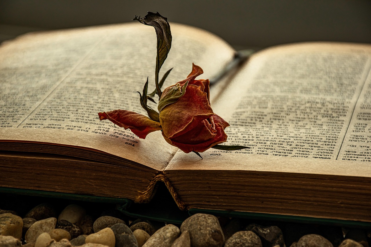 découvrez comment rédiger une lettre de motivation efficace grâce à nos conseils et exemples. améliorez vos candidatures et maximisez vos chances d’obtenir un entretien d’embauche.