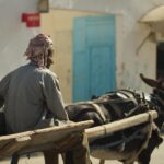 créez votre site web gratuitement en tunisie avec notre plateforme intuitive et locale, accessible à tous pour développer votre présence en ligne facilement.