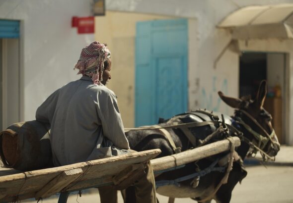 créez votre site web gratuitement en tunisie avec notre plateforme intuitive et locale, accessible à tous pour développer votre présence en ligne facilement.